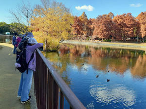 桃山公園の自然と環境を守る会・公式Ⅰ　　　　　　　　　　　　　　　