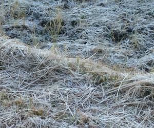 富岳太鼓ブログ