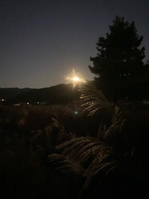 ＫＩＤＯちゃんのＯＵＴＤＯＯＲ　ＤＩＡＲＹ