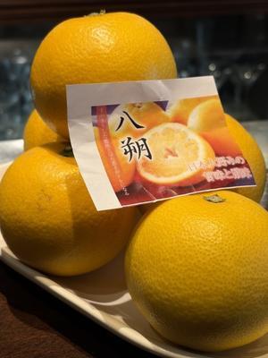 相模大野 BAR オードヴィー へようこそ