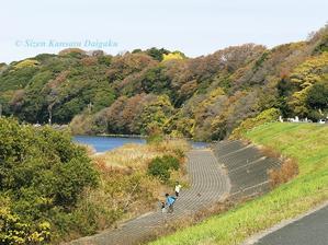 自然観察大学ブログ