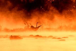 萩原義弘のすかぶら写真日記