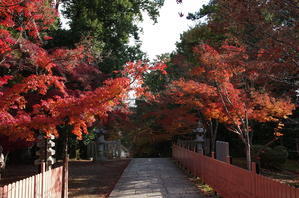 光明寺　紅葉 - 京都デジカメ散歩