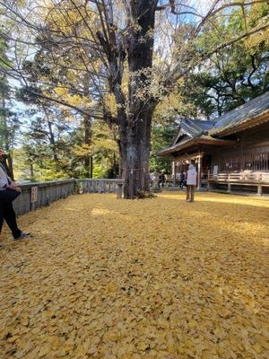 ♪ Heartful  アロマ　life ～ ♪