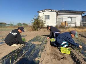 ジョブファーム活動ブログ