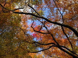 朝日山とスランプ褶曲 - 出雲の里山から