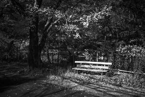 An invisible man in deep contemplation in late autumn - Silver Oblivion