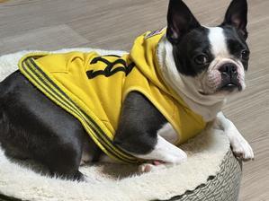 クレイとボルダーとアルケイと子供たち