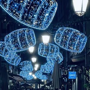 ストラスブール - ダイアリー