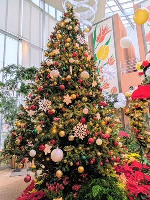 チューリップ四季彩館はクリスマス一色  ◆秋の長野・富山旅①◆ - Emily  diary