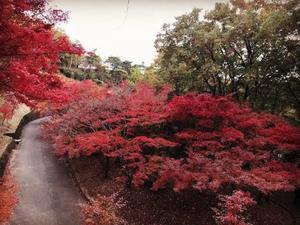 今年も観光ガイド調の〆は🔚 - 山商リフォームサービス山﨑晶弘の会長日誌