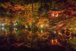 醍醐寺～紅葉ライトアップ - 山紫水明