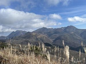 九重の空気を吸いたくて～～ - 信ちゃんの美夜古たより