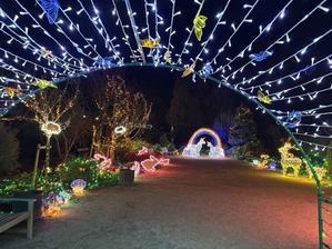 色んな所でやってますね - Ohードキッ！くす