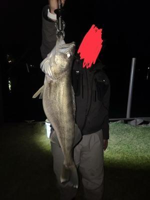 ルアー釣り：シマノのインフィニティループのトラブルの原因ってこれじゃない？？ - 糸こんがらがった！！！！！