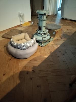 おこげ。 - 古道具ときどき猫。