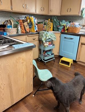 キッチン - pop654