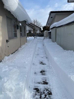 スクーリングこもごも - 窓の向こう側