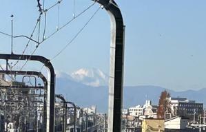 青山まで歯科検診 - 青山〜チトフナぱせり日記