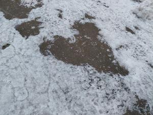 愛溢れる息子。 - 長万部サンミート木村  店長ブログ　　それ行け!!  木村店長!!