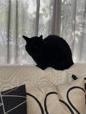 同じ兄弟だけど…… - ちいさなチカラ