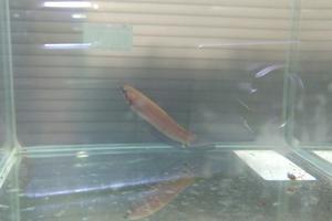 2025.12.19.金曜日 - ネオウエーブ淡水ブログ（ほぼ日記とメモ）