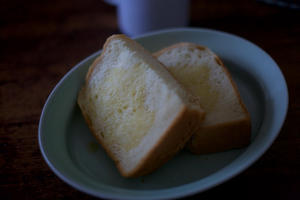 クリスマスプレゼント for me（ホームベーカリー） - 世話要らずの庭