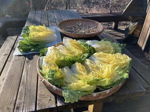 白菜漬けと大根干し - YUKKESCRAP