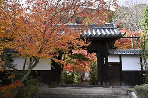 善法律寺さん・前編 - バリ島大好き