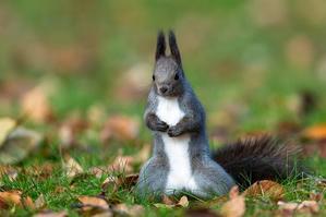 ジャコの「毎日好きなことやってます２」