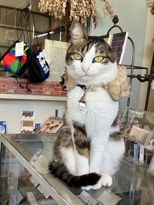 ぬくい一日とリハビリとたまごサンドと干支ダルマさん状況とながたさんカレンダー状況とMikoさん納品と12月のブローチ展12日目と明日もやってます - ひよこ雑貨店（19冊目）