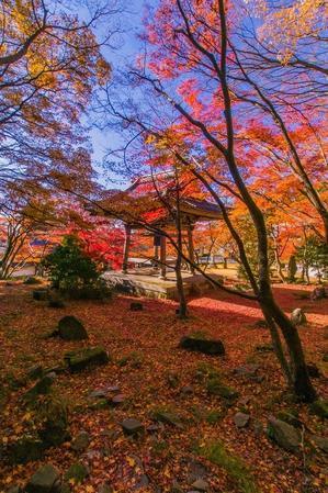 東光寺～紅葉 - 山紫水明