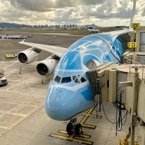 25年11月ハワイ 20☆ANAスイートラウンジと機内食 - パンダのお気に入り