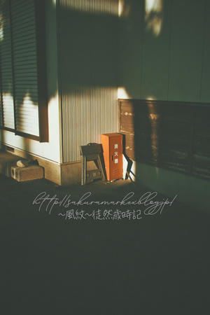 冬のひだまりに取り残されたもの。 - ～風紋～徒然歳時記