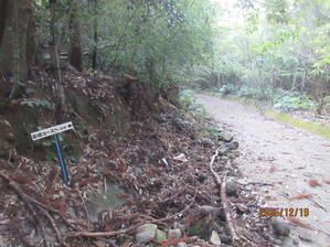 磯間嶽（２０２５年１２月１９日） - トラの山歩き