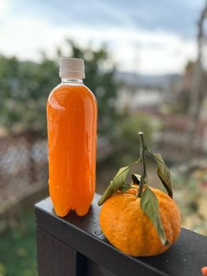 完熟みかんの大量消費術 - 本日も晴天なり  ちょっとそこまで自転車で