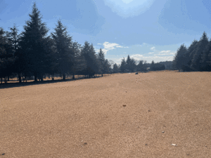 諦めなくて良かったこと - サードステージ