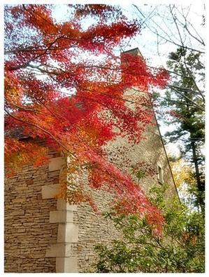 手首の骨折　２ - あおいそら