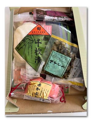 お漬物と柿 - 雪割草 - Primula modesta -