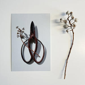 個展のお知らせ - 佐久間良一　イラストレーションライフ