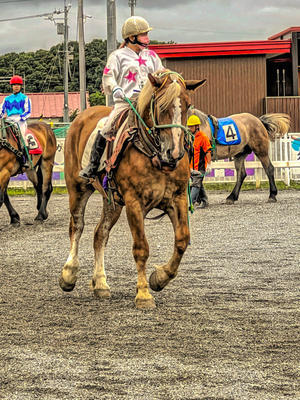 #5179 - Photo by iPhone