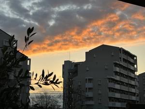 朋友から蜜柑とうどん - 青山〜チトフナぱせり日記