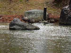 大野湊緑地公園にて - 福ちゃんのデジカメ日記