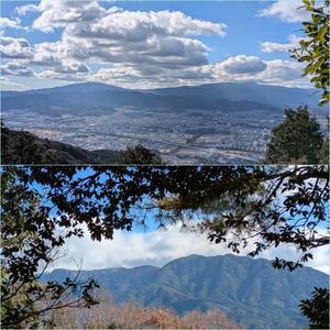 「冬至」の四王寺山ウォーキング。 - そうだ！山に登ろう