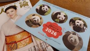 雨の日の過ごし方 - わらび徒然