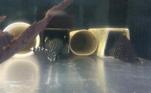 2025.12.23.火曜日 - ネオウエーブ淡水ブログ（ほぼ日記とメモ）