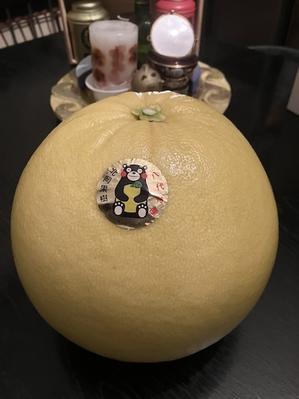 冬至の柑橘　　藤野早苗 - 南の魚座 福岡短歌日乗