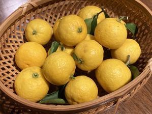 冬至の柚子 - YUKKESCRAP