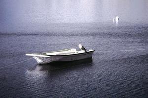 多摩湖 - houbow's Blog　牛鳴日乗