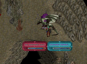 （導入後）Juvenile Unbreascale 騎士イグノアマナドレイン対決編。 - UO釣りくらら